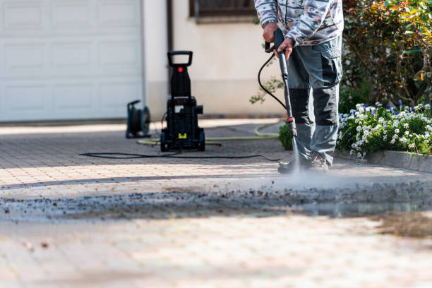 Best Seasonal Cleaning Services in Swanton, OH